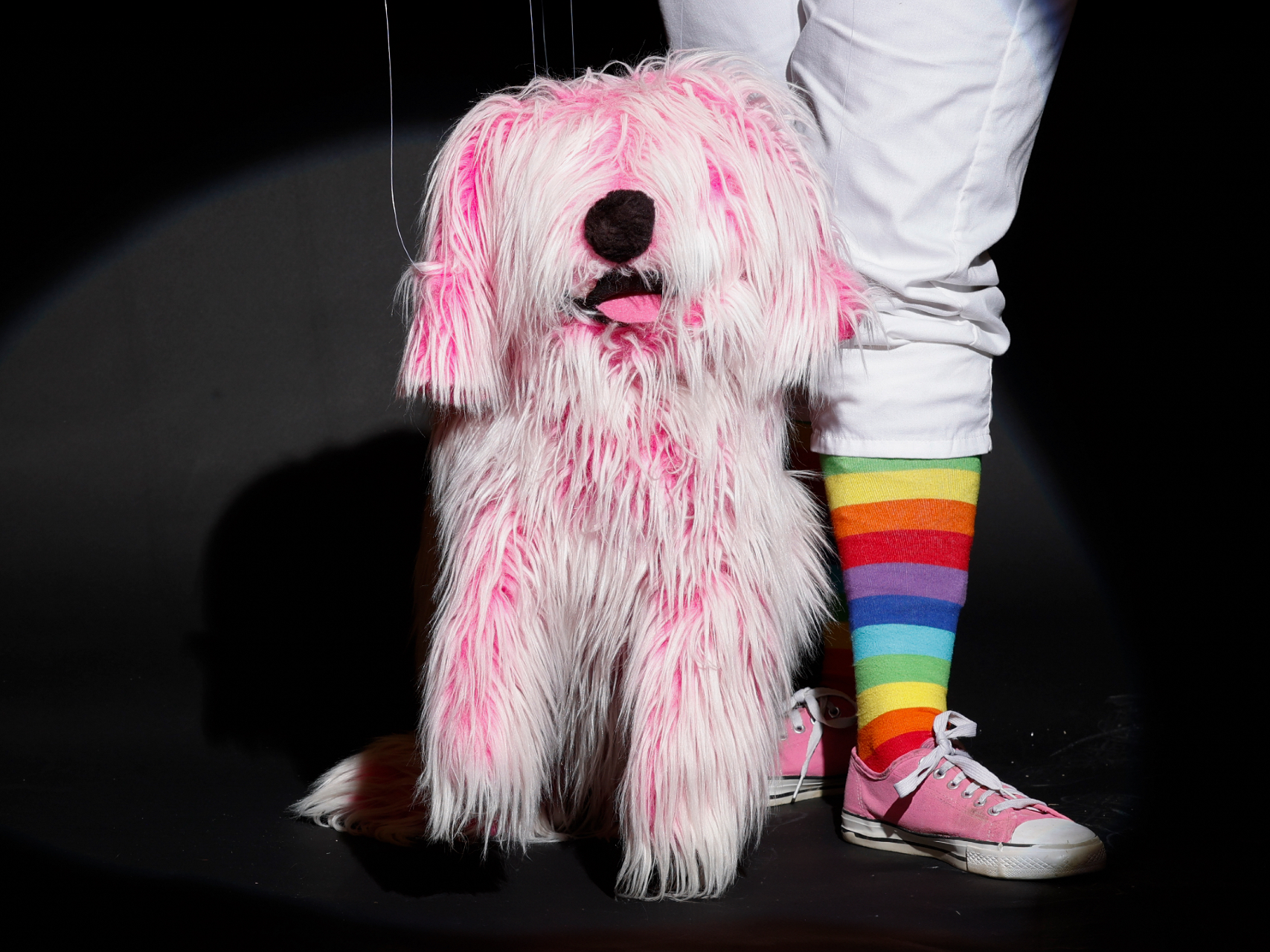 Photo of a pink puppet dog in a spotlight on a black backdrop.