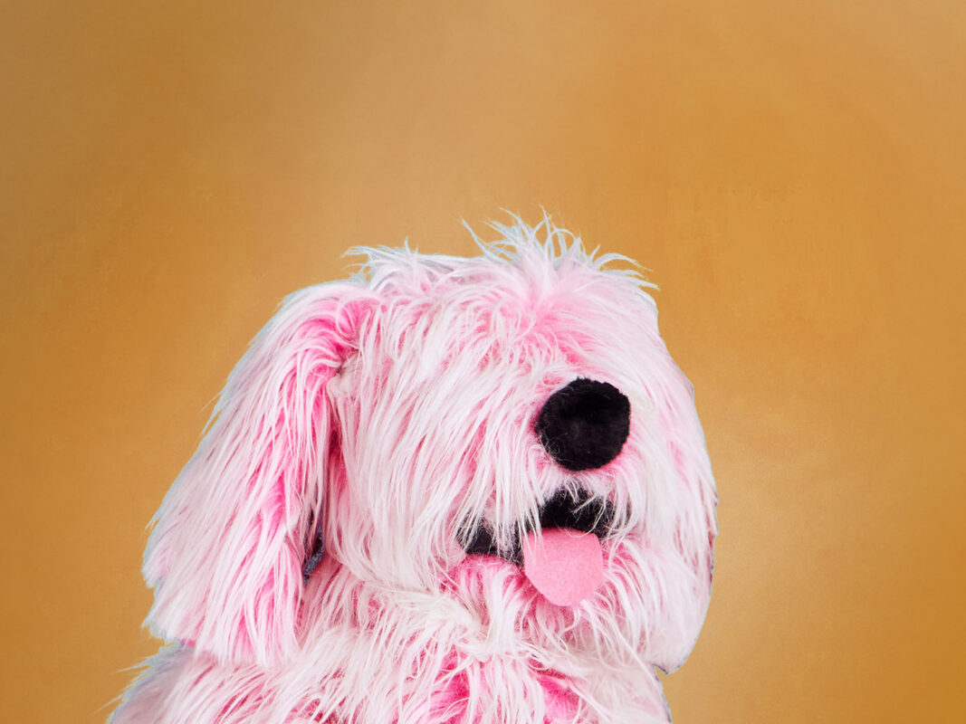 Photo of a pink puppet dog in front of a golden yellow background.