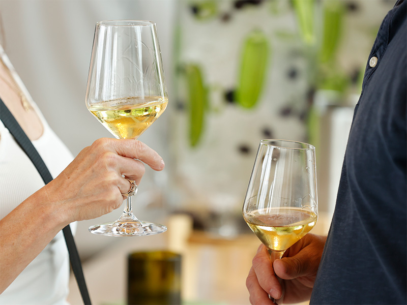 Close-up photo of two hands holding wine glasses containing white wine.